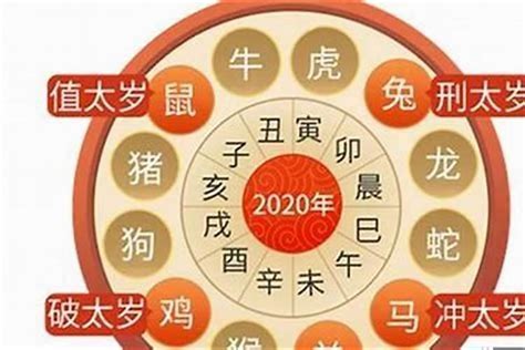 2024年属虎运势|属虎2024年运程及运势详解 2024年属虎人全年每月运势